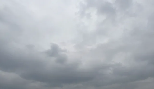 批发零售场景下的多元化拓展路径分析